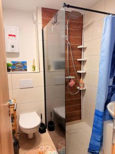 a bathroom with a shower and a toilet at BM Wohnung in Dillingen an der Saar +61 photos