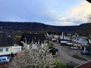 a town with houses and a street with white flowers at BM Wohnung in Dillingen an der Saar
