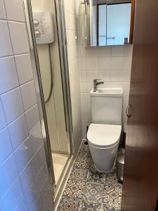 a small bathroom with a toilet and a shower at The Malting House in Skerries