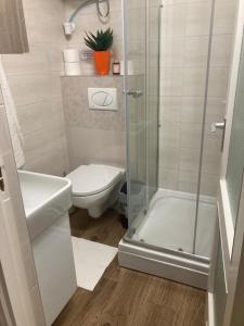 a bathroom with a shower and a toilet at Oázis Apartman in Orfű +16 photos