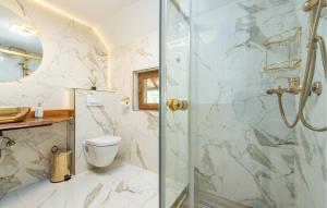 a bathroom with a toilet and a glass shower at Pet Friendly Home In Debelo Brdo With Sauna in Debelo Brdo +30 photos