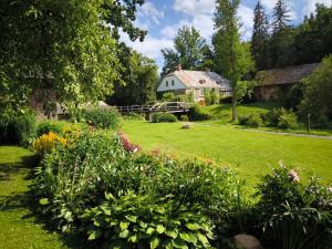 a garden with a house in the background at Meža namiņi Sprīdīši in Tērvete