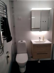 a bathroom with a white toilet and a sink at Lägenhet Sandåsvägen in Mariehamn +5 photos