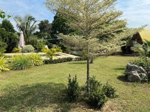 a tree in the middle of a yard with an umbrella at TRANQUILITY Resort in Nong Prue +6 photos