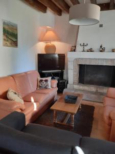 a living room with a couch and a fireplace at Gîte de La Ronce in Dhuizon