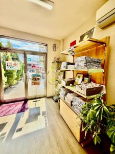 a room with a room with a window and a plant at Tabist International Hotel Kaike in Yonago