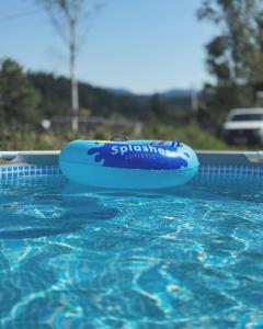 a blue raft sitting in a swimming pool at Котедж HOLIDAY HOUSE in Yablunytsya