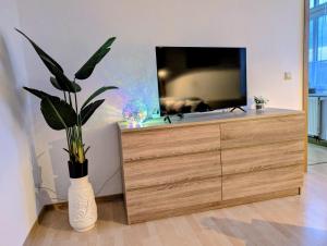 a dresser with a tv and a vase with a plant at Ferienwohnung Barbarossa - Benno in Rottleben +26 photos