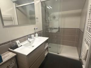 a bathroom with a sink and a shower at Gite Des Vignes in Verdigny +24 photos