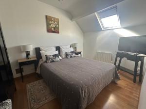 a bedroom with a bed and a desk and a television at Gite Des Vignes in Verdigny