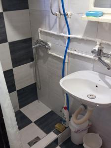 a bathroom with a sink and a shower at jezerski dragulj in Lazići