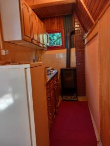 a small kitchen with a refrigerator and a red carpet at jezerski dragulj in Lazići