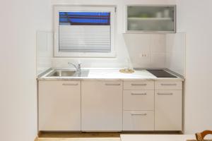 A kitchen or kitchenette at Apartments SHISHKA