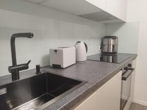a kitchen counter with a sink and a coffee maker at Dreiländereck erkunden in Lörrach