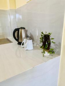 a counter with a tea kettle and a plant on it at Donald House Cabana Kandy in Kandy