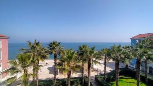 a view of a beach with palm trees and the ocean at Monolocale DIRETTAMENTE SUL MARE cod 509 in Porto Recanati