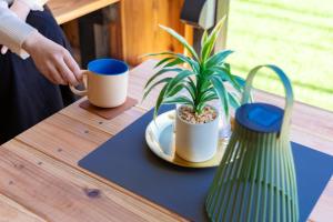 a person holding a coffee mug on a table with a plant at Casa Familia Aoshima in Miyazaki