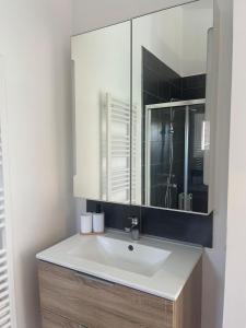 a bathroom with a white sink and a mirror at La Renardière in Foreste +14 photos