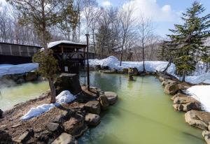 a pool of water with snow on the ground at Niseko Grand Hotel in Niseko +48 photos