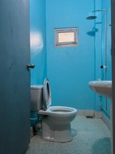 a blue bathroom with a toilet and a sink at Donald House Cabana Kandy in Kandy +49 photos