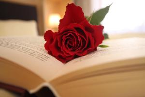 a red rose sitting on top of an open book at Gästehaus -Pension Edelweiss in Vent