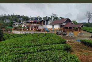 a house in the middle of a field of tea plantations at Heritage Vagamon Cottages in Idukki