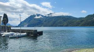 a group of boats docked at a dock on a lake at Camping Continental in Mandello del Lario +13 photos