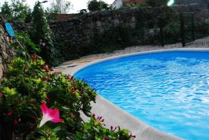 Πισίνα στο ή κοντά στο Casa Rural Las Navillas