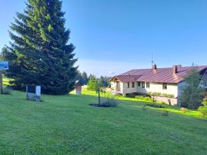a yard with a house and a pine tree at Penzion Pochop in Benecko