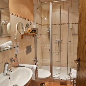 a bathroom with a shower and a sink and a toilet at Winzerhof Gietzen in Hatzenport