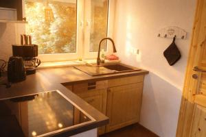 a small kitchen with a sink and a window at Stiegenstübchen am Weinberg in Dresden