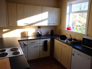 een keuken met houten kasten, een wastafel en een raam bij Culsharg Cottage in Bargrennan