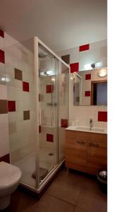 a bathroom with a shower and a toilet and a sink at Auberge de l'eau rousse in La Léchère