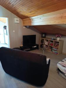 a living room with a couch and a tv at Chez Sylvia in Saint-Julien-du-Pinet
