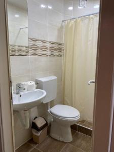 a bathroom with a toilet and a sink at Vila Alex in Vrnjačka Banja +9 photos