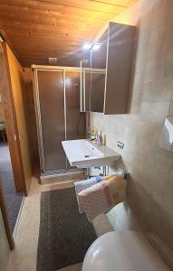 a small bathroom with a toilet and a sink at Pension Tannheim in Tannheim +26 photos