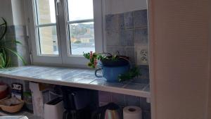 a plant sitting on a shelf next to a window at Studio De La Mer in Arromanches-les-Bains