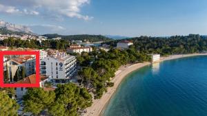 an aerial view of a beach and the ocean at Vila Pivac in Makarska