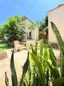 a garden with a bench and some green plants at Ocean Bungalow in Phú Quốc
