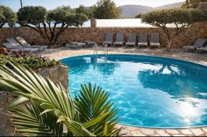 a large blue swimming pool with chairs in a yard at Paralia Apts Stavros in Milatos