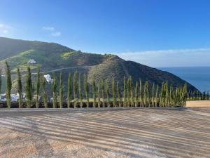 a row of trees in front of a mountain at Villa The View in Tétouan