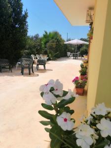 a plant with white flowers next to a building at TeNuTa Li Frasulli in Sannicola