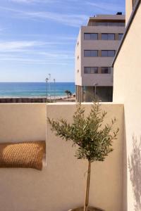 a plant in a pot on a balcony with the ocean at Blue House- am Strand von Vila do Conde, Porto in Vila do Conde