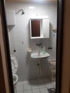 a bathroom with a sink and a toilet at Apartman M 5 in Novi Sad +17 photos