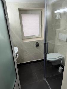 a bathroom with a shower and a toilet and a window at Palas Boutique in Sighişoara +17 photos