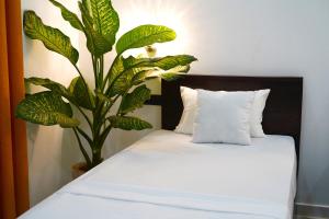a plant sitting next to a bed with white sheets at Yala Cherish Inn & Safari in Tissamaharama