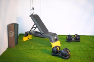 a machine with two dumbbells on the grass at Veedu and Co Greens in Cochin