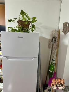 a white refrigerator with a plant on top of it at Casa Palumbo in Bacoli