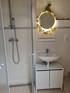 a bathroom with a sink and a mirror at Apartman Collie in Silŭvky