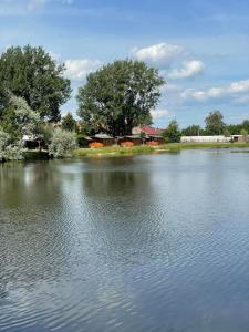 a large body of water with houses in the background at Chatka pri vode aj pre rybárov 3 in Galanta